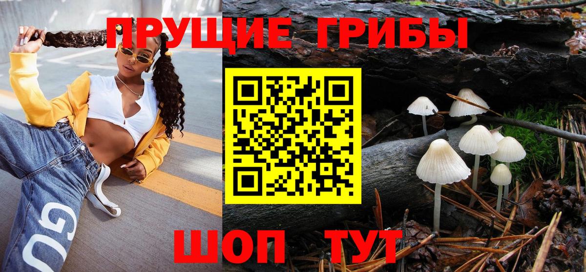 Галлюциногенные грибы GOLDEN TEACHER Дивногорск