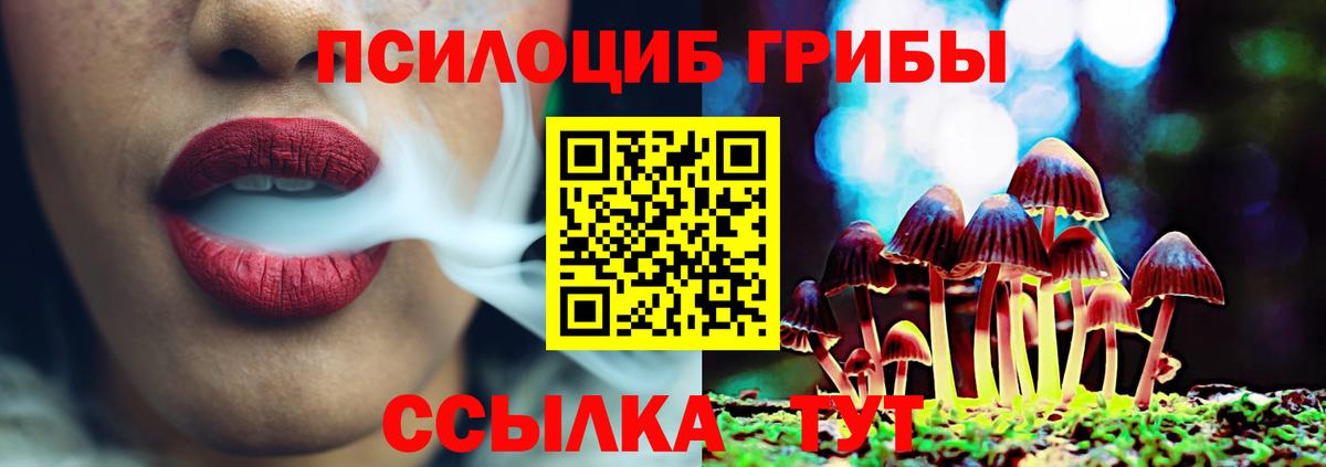 Дивногорск  Псилоцибиновые грибы мицелий  Вход с VPN  Псилоцибиновые грибы MAGIC MUSHROOMS 