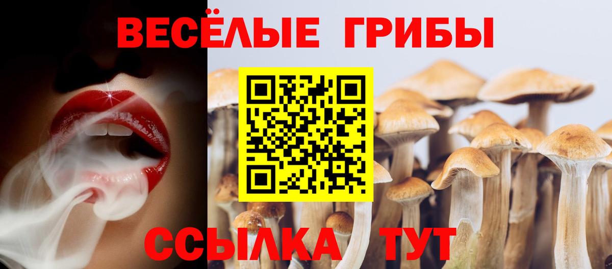 Гашиш Дивногорск